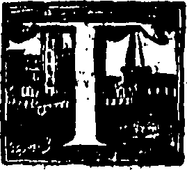 048/048970040003000_0.png