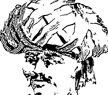 048/048990010101120_0.png