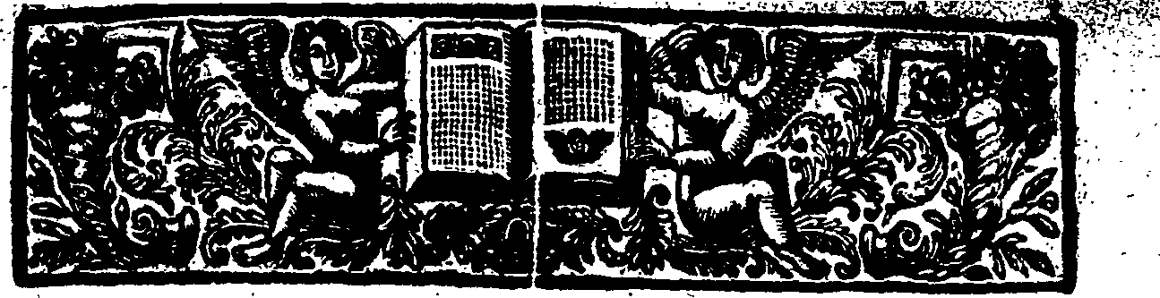049/049030040000250_2.png