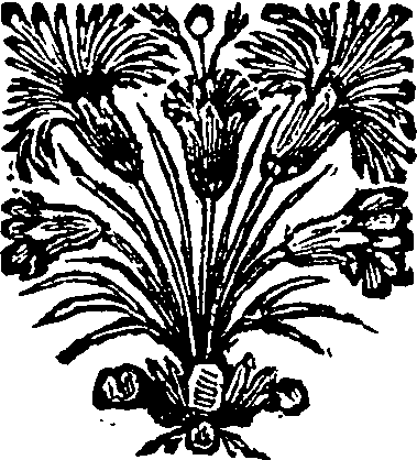 049/049040040002330_0.png