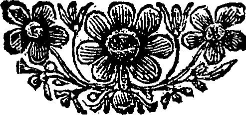 049/049040040002530_0.png