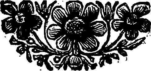 049/049040040002810_0.png