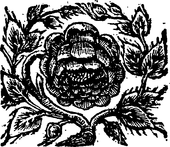 049/049040040002960_0.png
