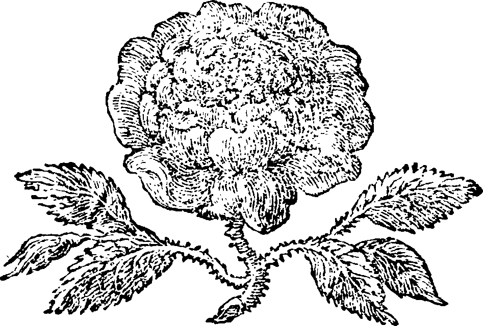 049/049050090000240_0.png