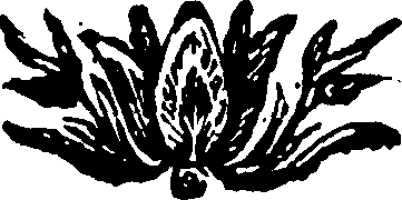 049/049090160000230_0.png