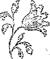 049/049230030000080_0.png