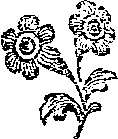 049/049230030001360_0.png