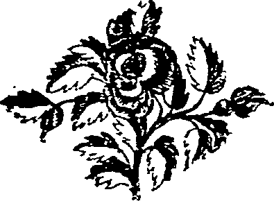 049/049230040205520_0.png