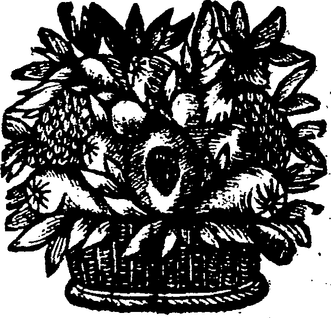 049/049250170000150_0.png