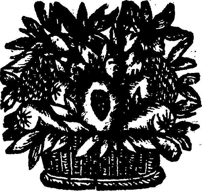 049/049250170000260_0.png