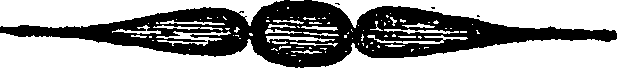 049/049270010000010_0.png