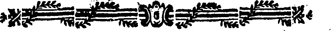 049/049300100000210_0.png