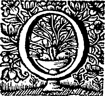 049/049380010101620_0.png
