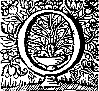 049/049380010103630_0.png