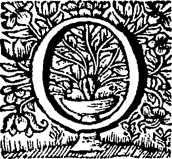 049/049380010104880_1.png