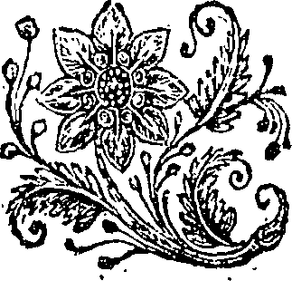 049/049410020000080_0.png