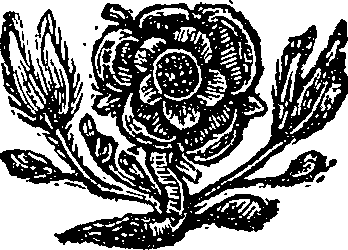 049/049410020001720_0.png