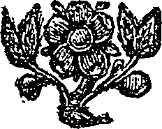 049/049410020001870_0.png