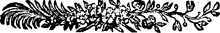 049/049600050000040_0.png