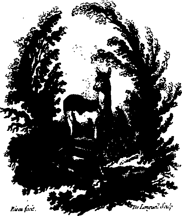 049/049600050000460_0.png