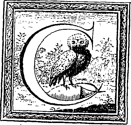 049/049650050002080_0.png