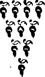 049/049730080000430_0.png