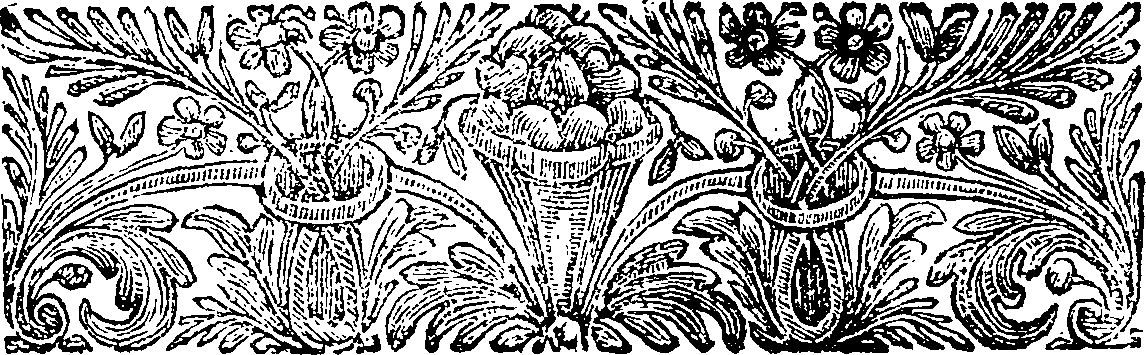 049/049830170000050_1.png