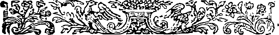 049/049850020204740_0.png