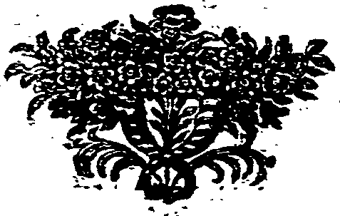 049/049870040000300_0.png