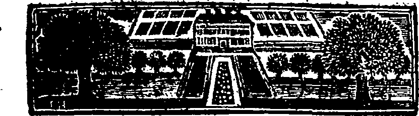 049/049870100000020_1.png
