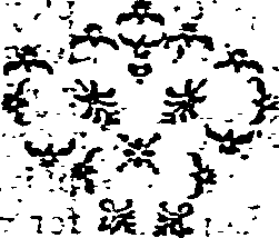 049/049890011606360_1.png