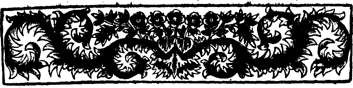 049/049900080000020_1.png