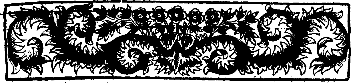049/049900080000320_1.png