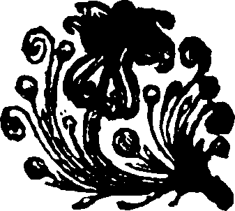 049/049920140000010_0.png