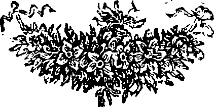 049/049940180000630_0.png