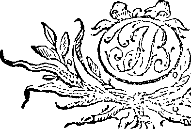 049/049950071300020_0.png