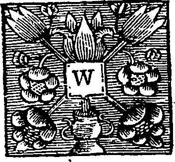 050/050350030000420_0.png