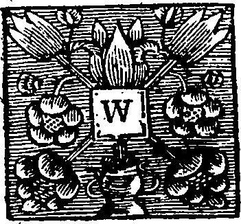 050/050350030000560_1.png