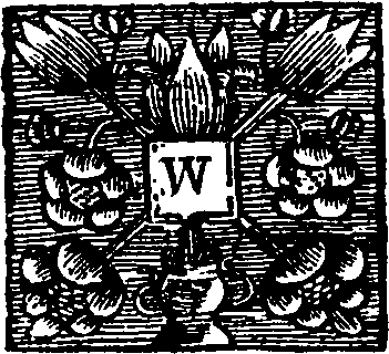 050/050350030000740_1.png