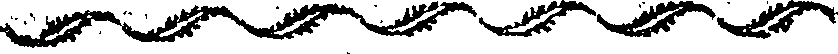 050/050450011101890_0.png