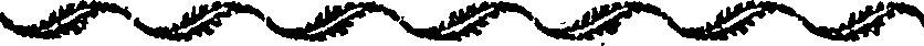 050/050460011201250_0.png