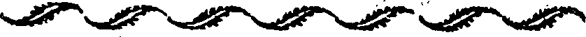 050/050460011302360_0.png