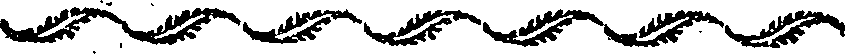 050/050460011302440_0.png