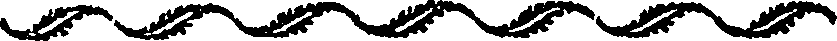 050/050460011303610_0.png