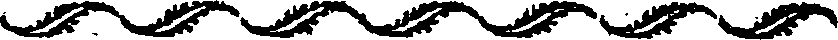 050/050460011303980_0.png