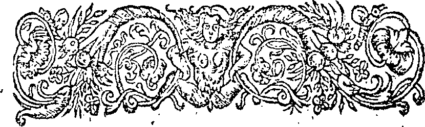 050/050470440000020_1.png