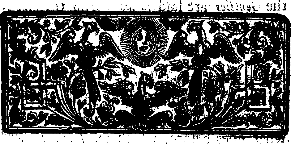 050/050470460000040_1.png