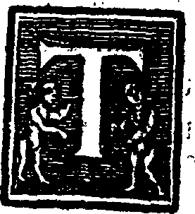 050/050470460000250_1.png