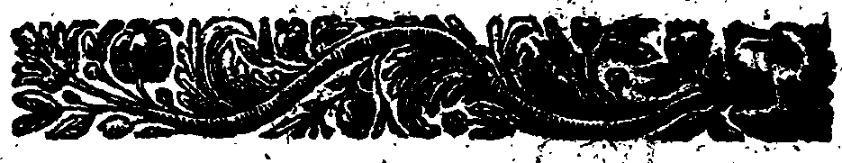 050/050470460000450_1.png