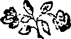 050/050480010902480_0.png